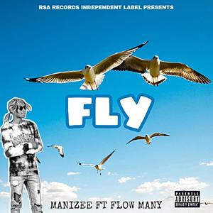 FLY (feat. Flowmany) [Explicit]