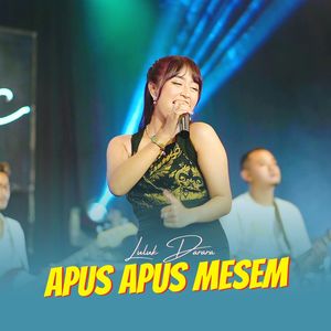 Apus Apus Mesem