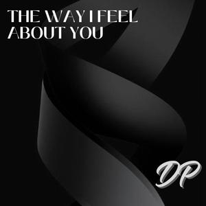 The Way I Feel About You (feat. Sudo Nice) (Laid Back Remix)