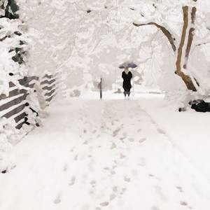 算了吧就这样吧（Audition）