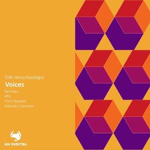 Voices (4T6 Remix)