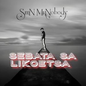 Sebata sa likoetsa (Radio Edit)