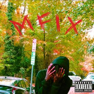 MFIX (Explicit)