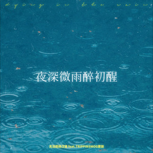 夜深微雨醉初醒