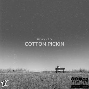 Cotton Pickin (Explicit)