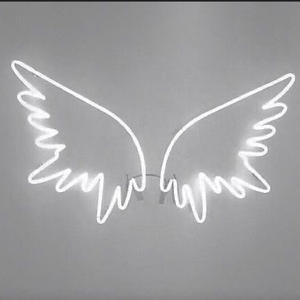 Insert Fruit Diskette