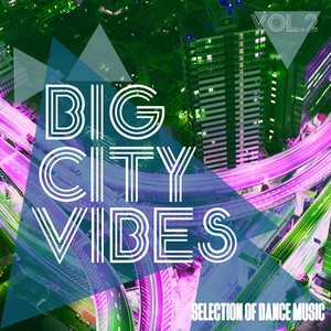 You Stole My Funk (DJ Satelite Remix)