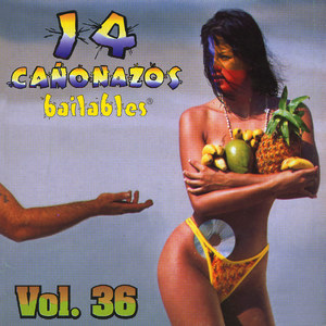 14 Cañonazos Bailables (Vol. 36)