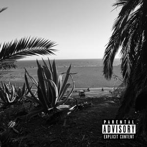 Lost in Mind (feat. SonderZzz) (Explicit)