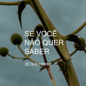 Se Você Não Quer Saber