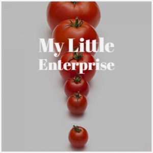 My Little Enterprise