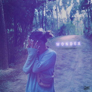 Wonder