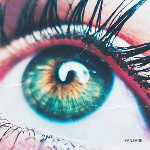 Zanzare