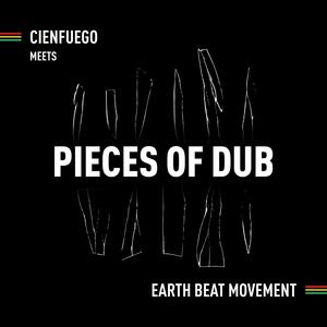 Pieces of Dub
