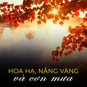 Hoa hạ, nắng vàng và cơn mưa