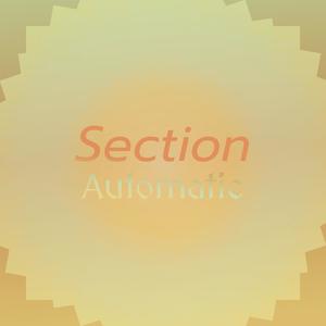 Section Automatic