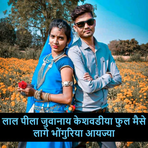 लाल पीला जुवानाय केशवडीया फुल मैसे लागे भोंगुरिया आयज्या