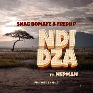 Ndidza (feat. Nepman)