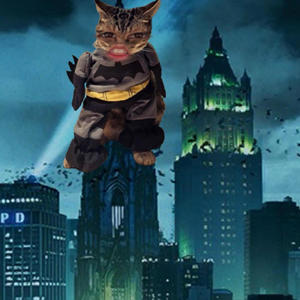 Sticks N Stones (Explicit)