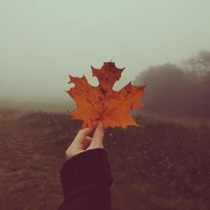 oh well (feat. jstnprks)