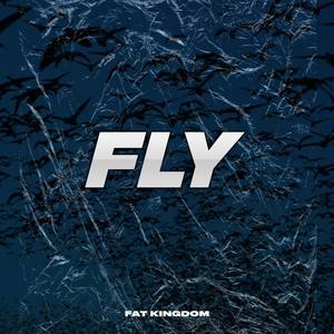 Fly