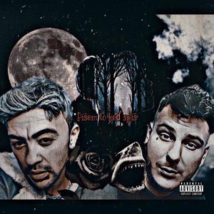 PÍŠEM TO KEĎ SPÍŠ (feat. SHARECC) (Explicit)