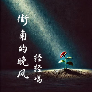 街角的晚风 (轻轻唱)-野马老六