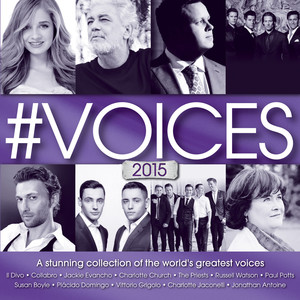 #Voices 2015