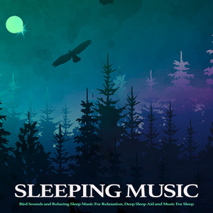 Music For Deep Sleep
