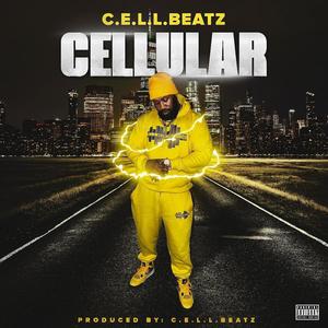 Cellular (Explicit)