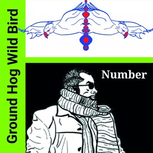 Ground Hog Wild Bird