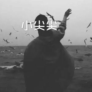 笑纳 (DJ经典版)