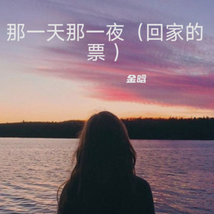 一夜一夜一夜-金晗
