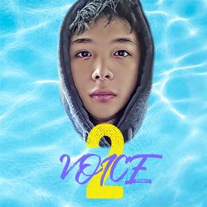 VOICE2