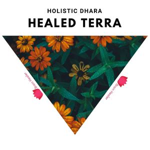 Healed Terra - Holistic Dhara (Original Mix)