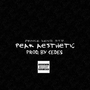 PEAK AESTHETIC (Explicit)