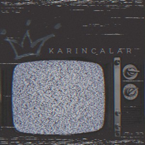 Karıncalar