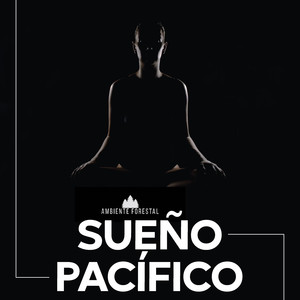 Background Composition