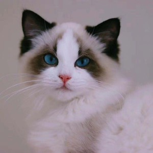 等你的季节-空空