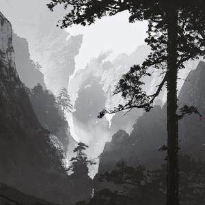 惊鸿一面