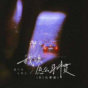 我该怎么习惯 (DJ九零版)