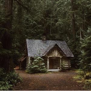 Stash House In The Forest (Explicit)