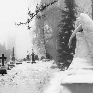 Windy Snowstorm (Slowed)