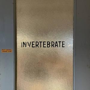 Invertebrate (Explicit)