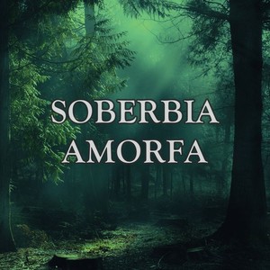 Soberbia amorfa (Explicit)