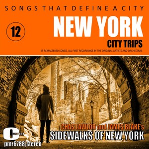 Songs That Define A City: New York, Volume 12 (The Sidewalks Of New York)