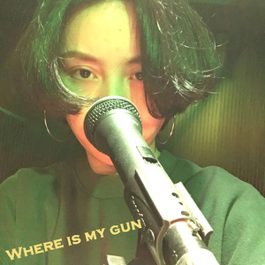 Where Is My Gun