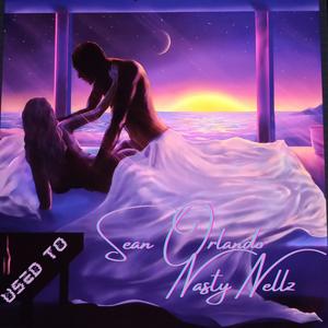 Used To (feat. Nasty Nellz)
