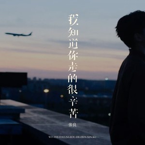 我知道你走的很辛苦