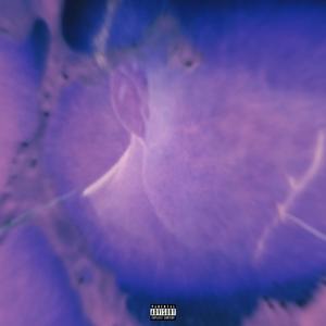 ZOOM (Explicit)